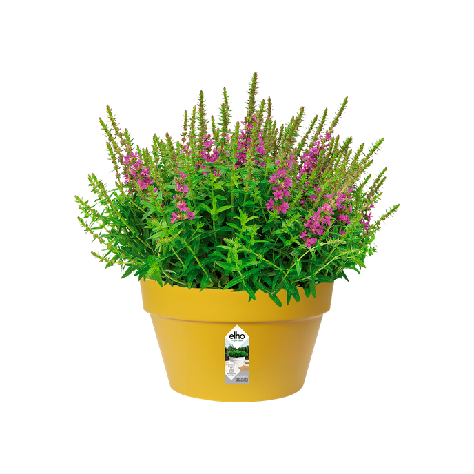 loft urban bowl 35cm ochre